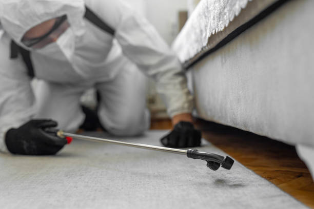 Professional Bed Bug Control technician working in Chisago City, MN