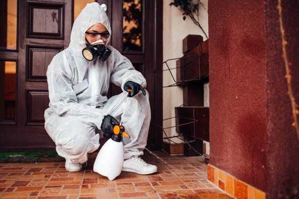 Reliable Bed Bug Control contractor in Chisago City, MN by Nex Pest Control